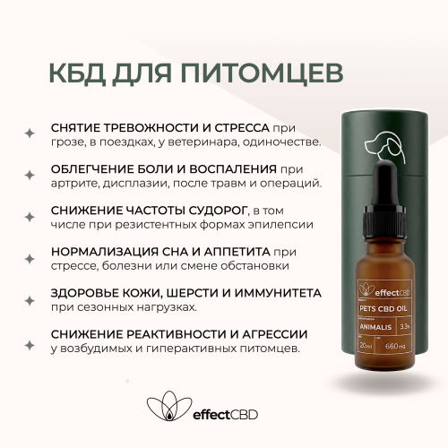 effectСBD КБД масло для питомцев 3,3%, 20 мл
